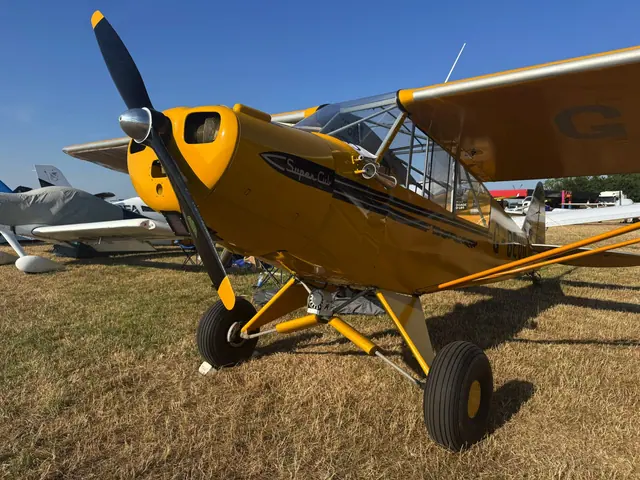 1951 Piper L-18C Super Cub