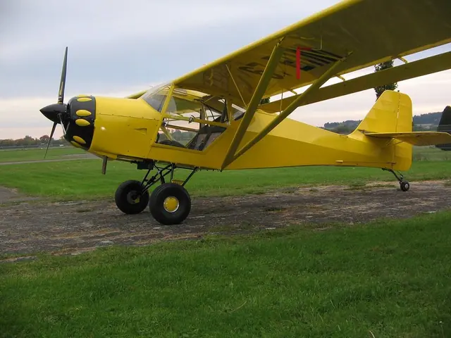 1995 Denney Kitfox 3