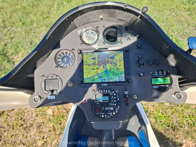 2010 Alexander Schleicher ASH31 MI