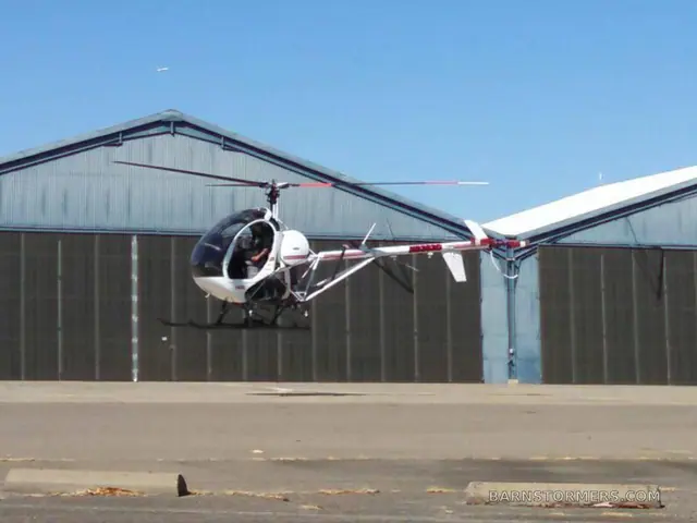 Schweizer 300C 2010