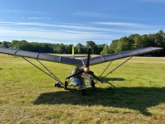 Weedhopper Ultralight airplane. Fly right now