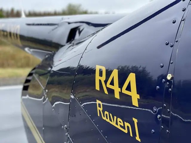 2004 Robinson R-44 Raven 1
