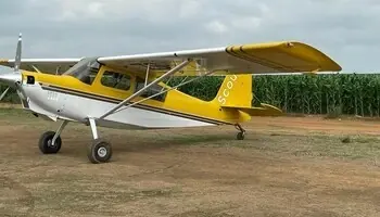 American Champion Scout