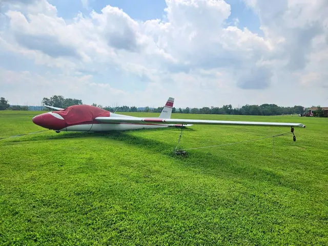 1965 Schweizer SGS 2-32 Glider