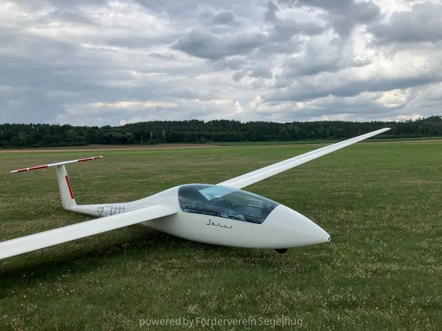 1980 Janus B