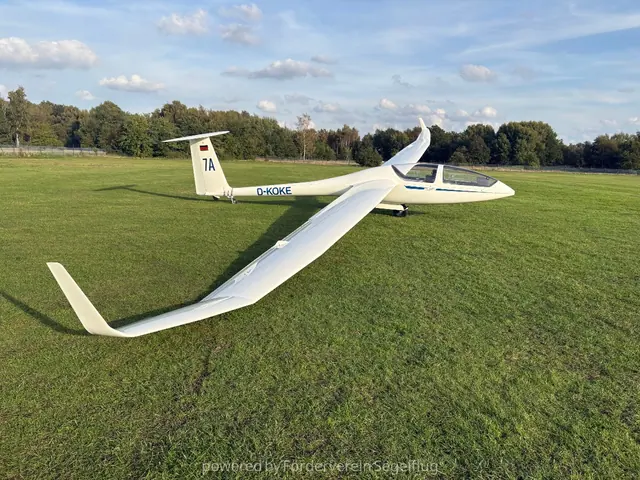 2019 DG1001M wenig geflogen
