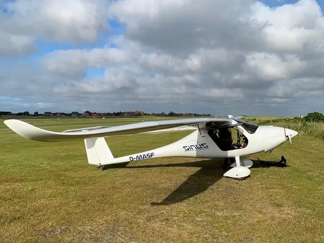 2010 Pipistrel Sinus 912