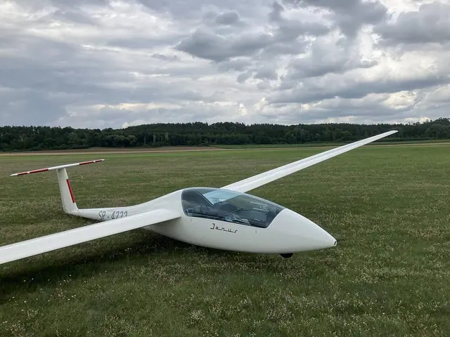 1980 Schempp-Hirth Janus B