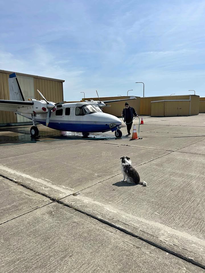500 B 1962 aero commander, photo 1