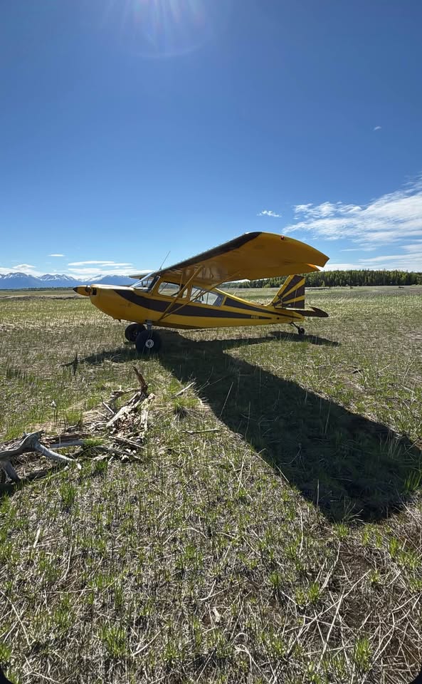 1968 American Champion Aircraft Citabria 7ECA, photo 3