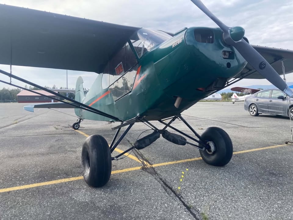 Piper PA-11, photo 3