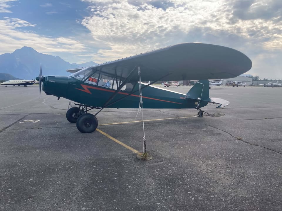 Piper PA-11, photo 4