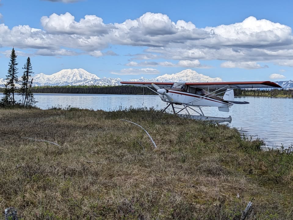 1958 Piper bushmaster, photo 4