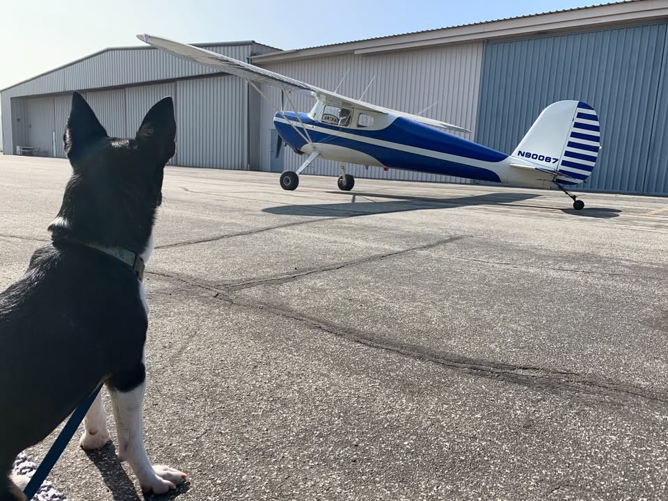 1946 Cessna 140, photo 2