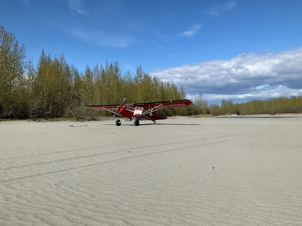1979 Taylorcraft F-19, photo 4