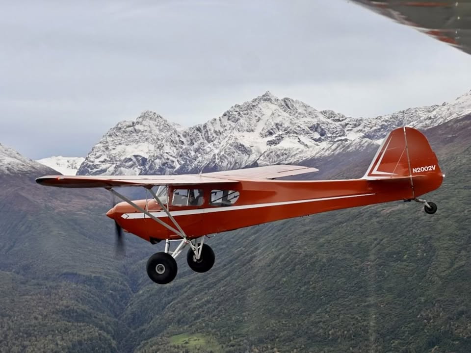 1979 Taylorcraft F-19, photo 2
