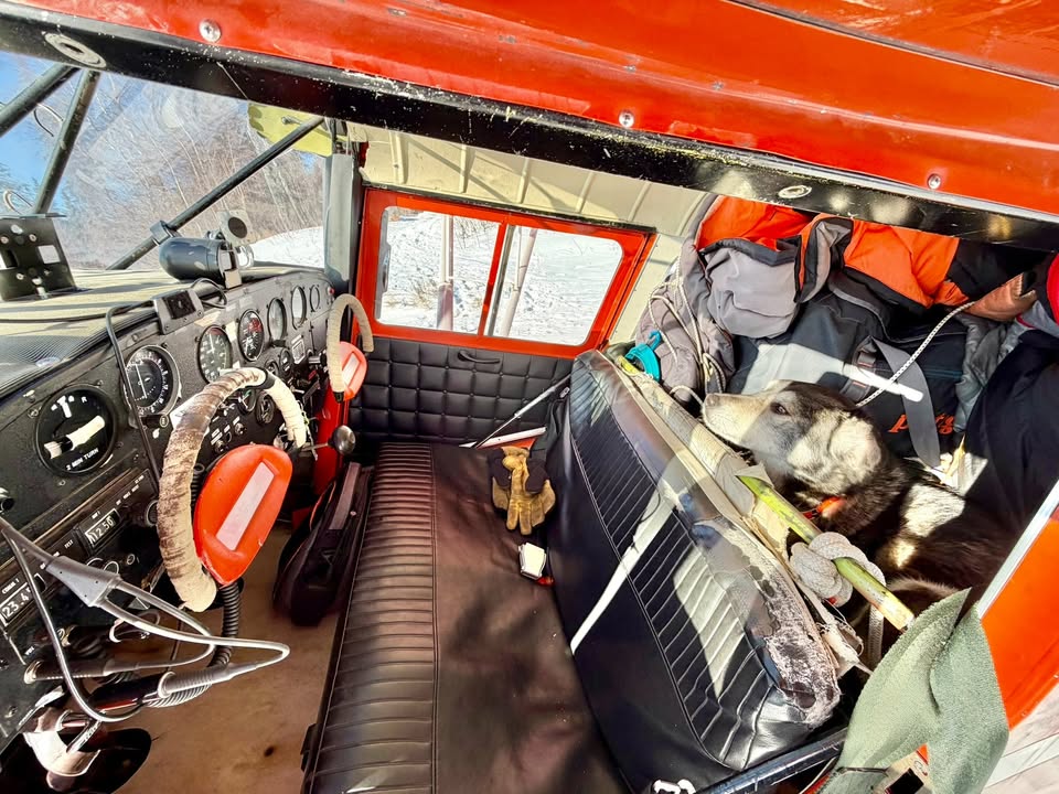1979 Taylorcraft F-19, photo 5