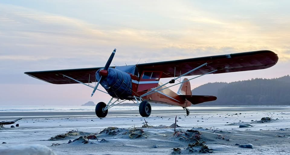 1979 Taylorcraft F-19, photo 3