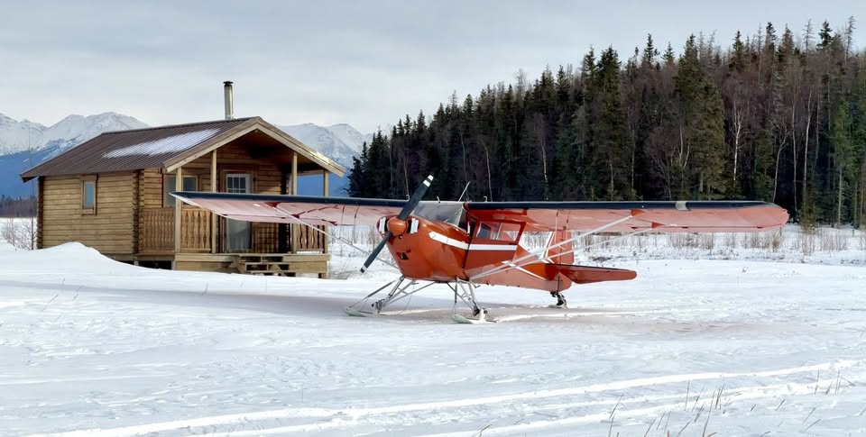 1979 Taylorcraft F-19, photo 7