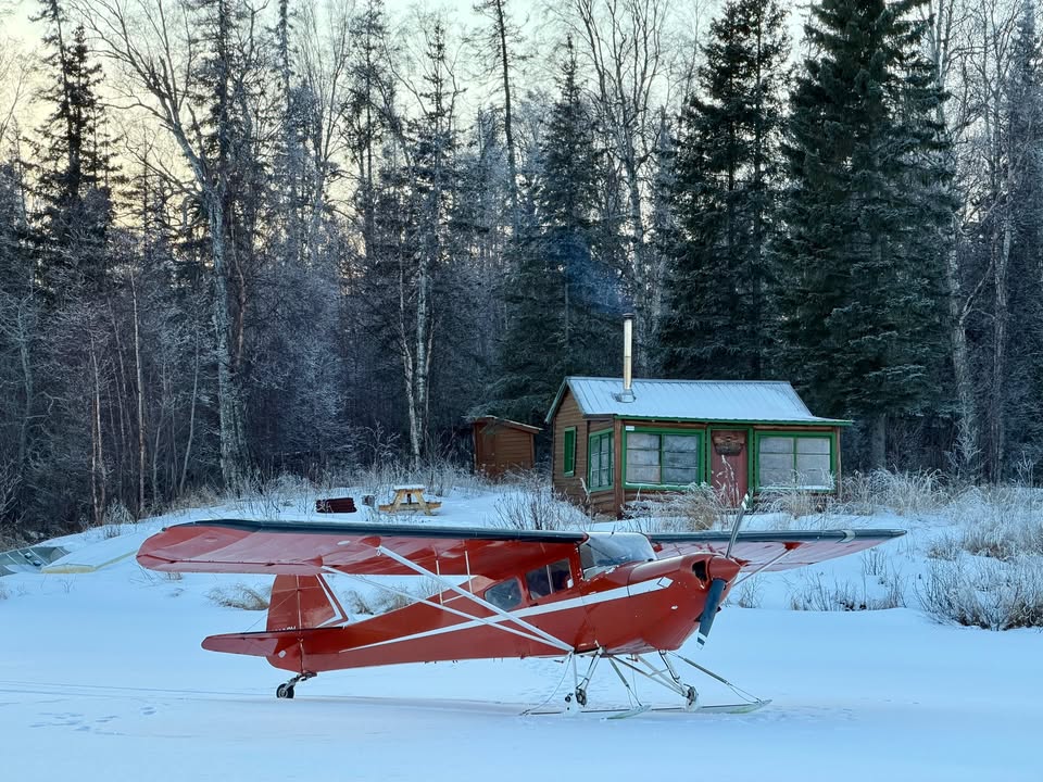 1979 Taylorcraft F-19, photo 6