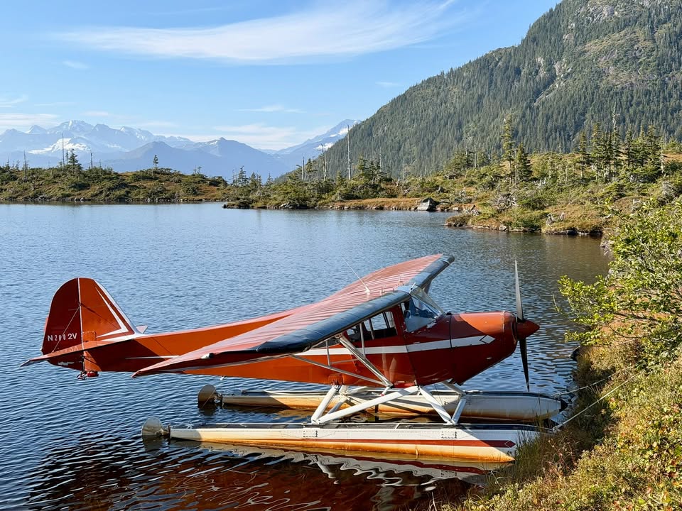 1979 Taylorcraft F-19, photo 8