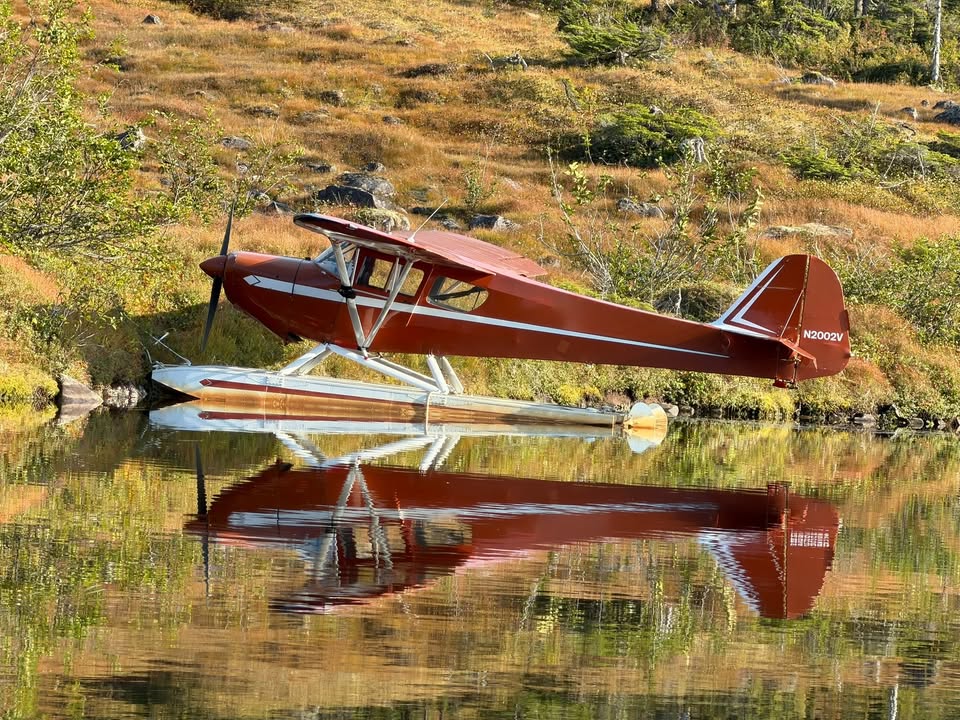 1979 Taylorcraft F-19, photo 9
