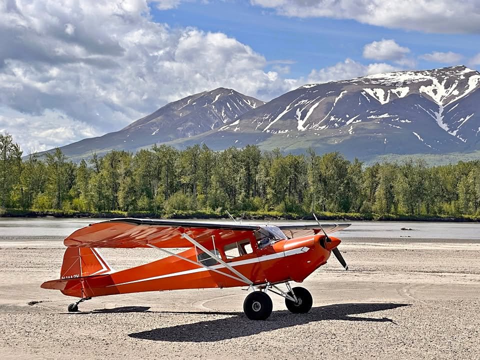 1979 Taylorcraft F-19, photo 1