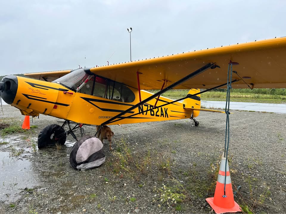 Updated 100 HP Wag Aero, photo 5