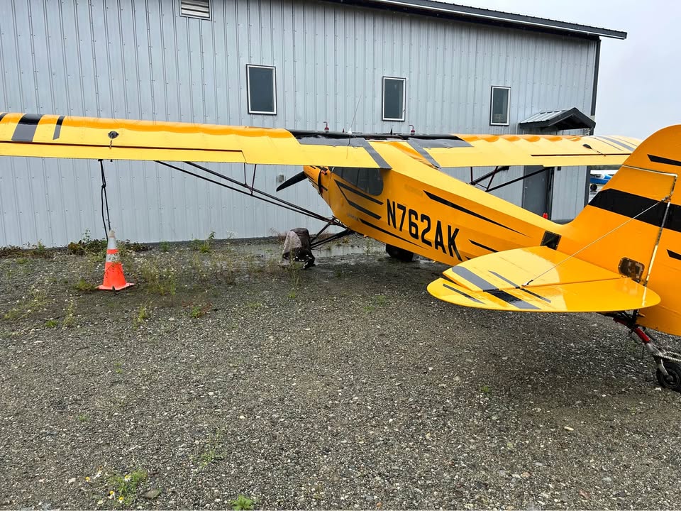Updated 100 HP Wag Aero, photo 9