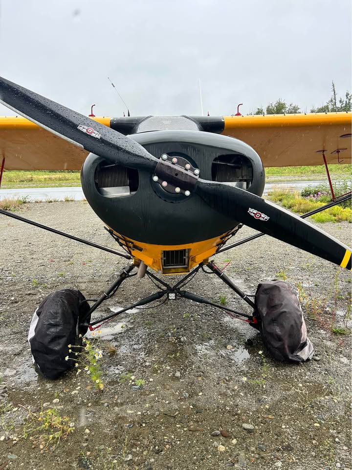 Updated 100 HP Wag Aero, photo 6