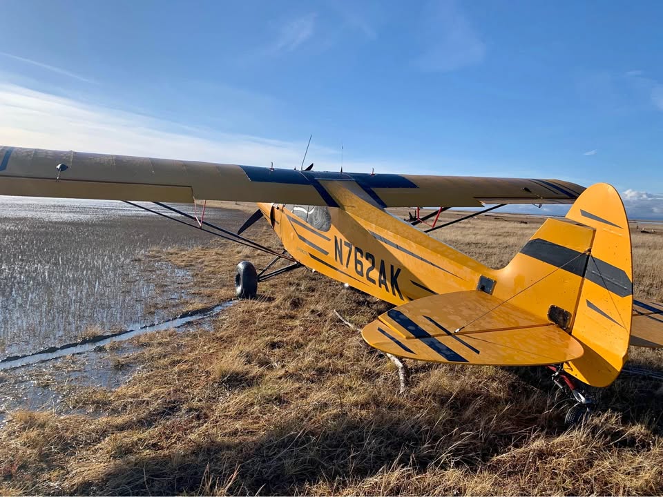 Updated 100 HP Wag Aero, photo 1
