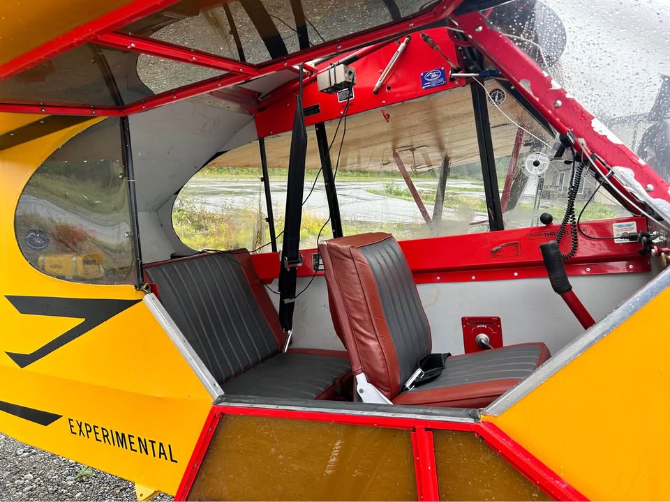 Updated 100 HP Wag Aero, photo 4