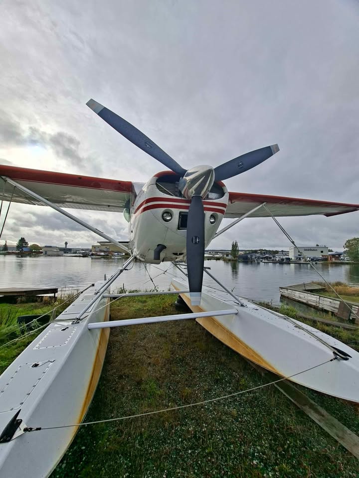 1975 Cessna C185f, photo 3