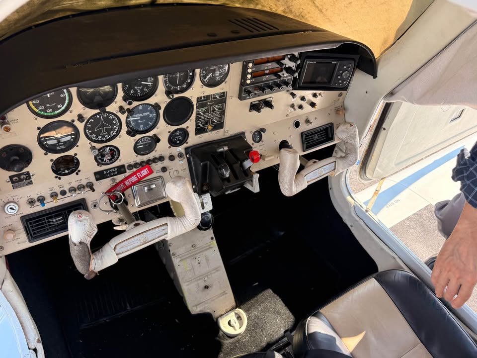 1981 Beechcraft Skipper, photo 12
