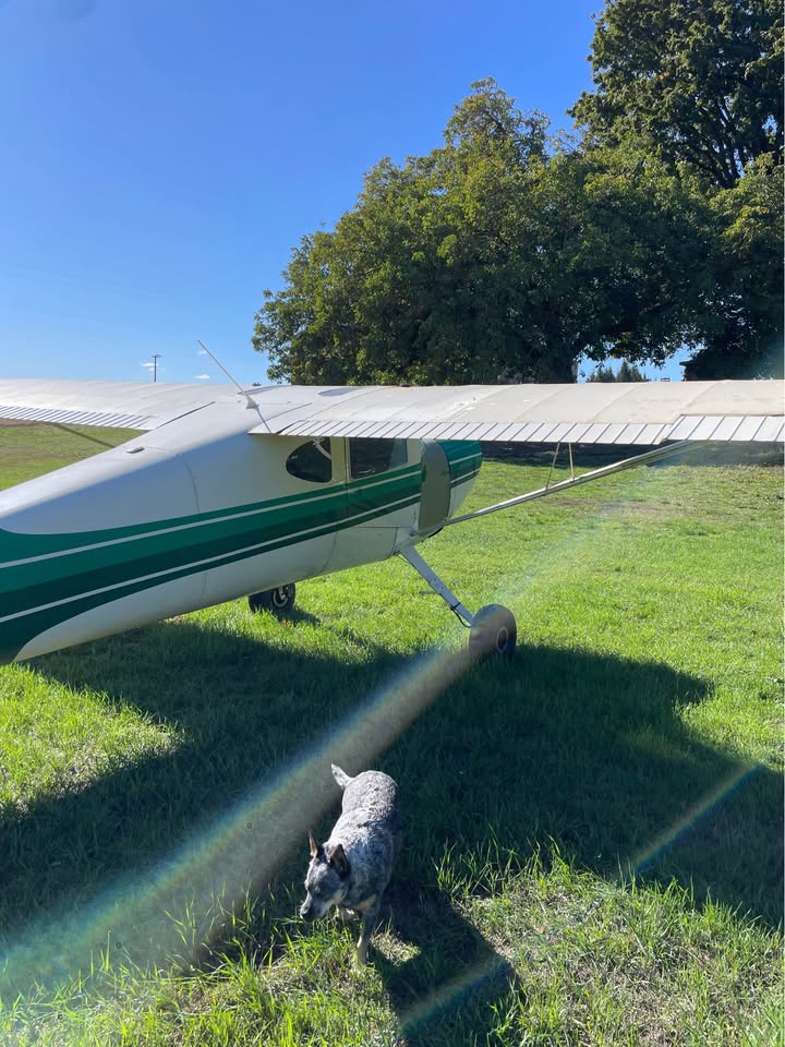 1946 Cessna 120, photo 8