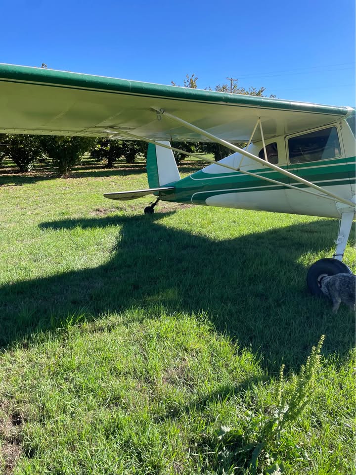1946 Cessna 120, photo 7