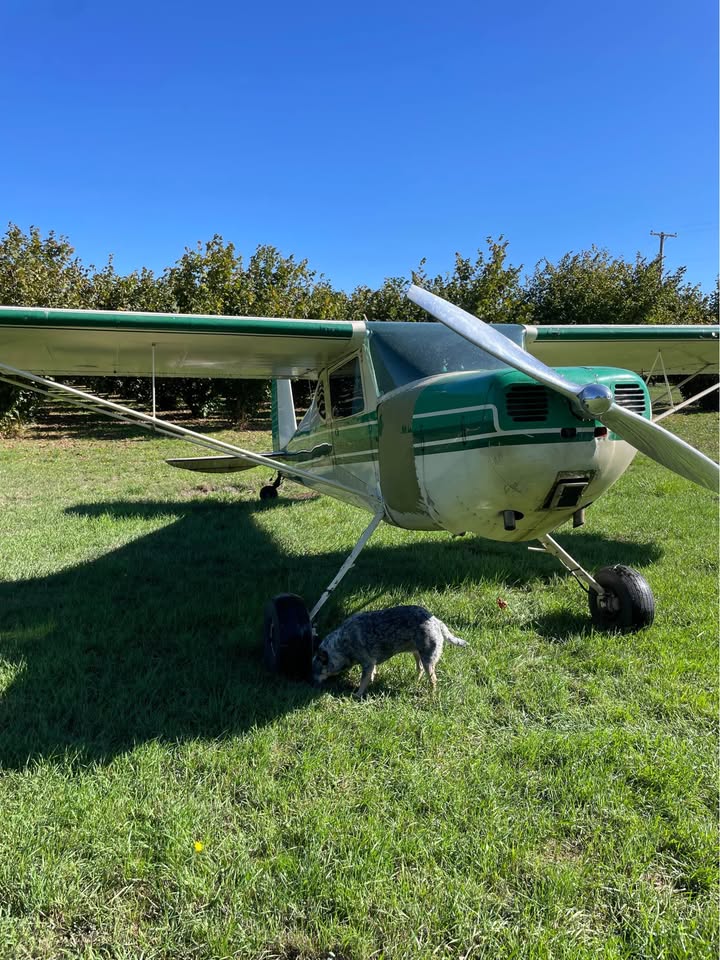 1946 Cessna 120, photo 2