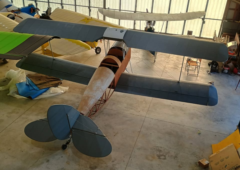 Tiger Moth 80% scale, photo 6