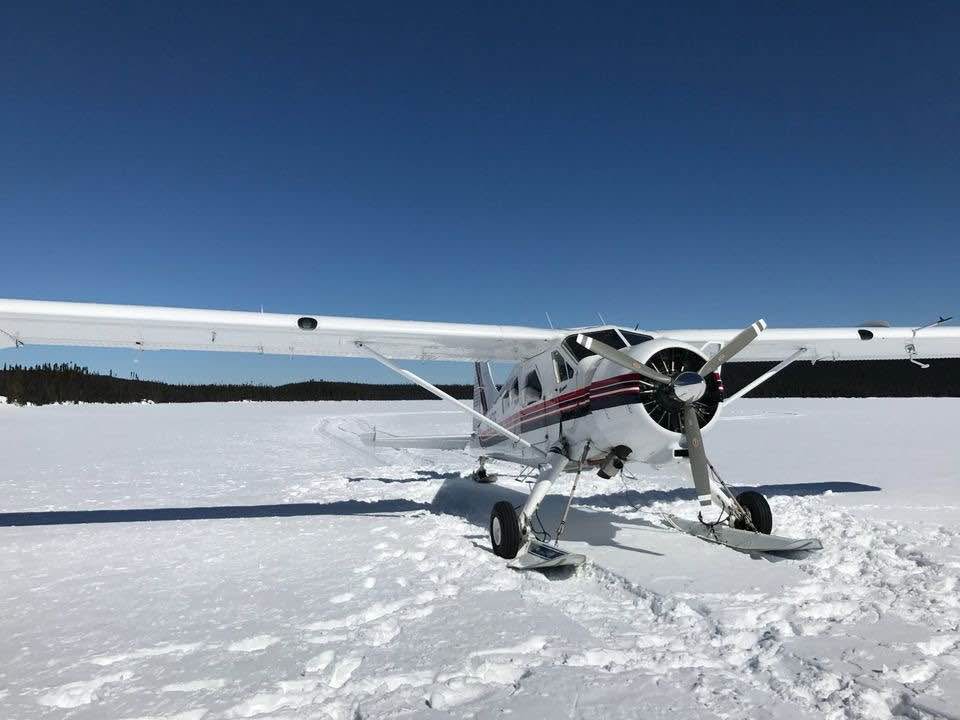 1958 Dehavilland Dhc-2 Mk1, photo 2
