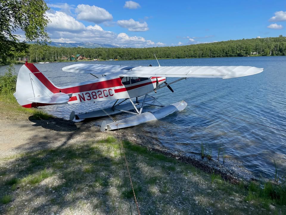 2002 Cub Crafters PA-18, photo 3