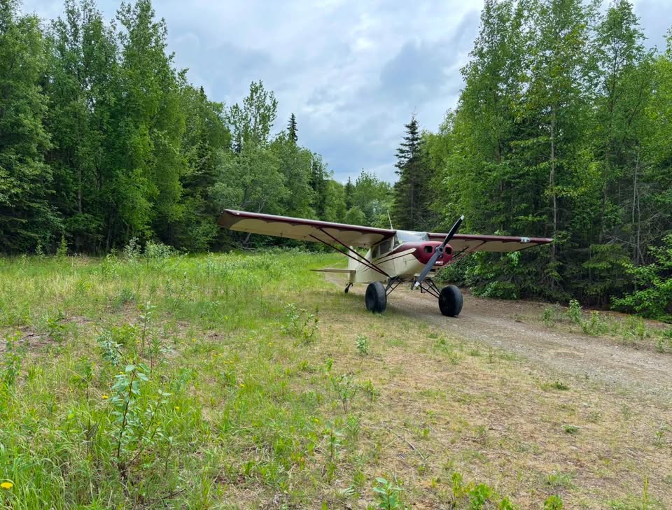 1967 Piper Pacer PA-22/20, photo 4
