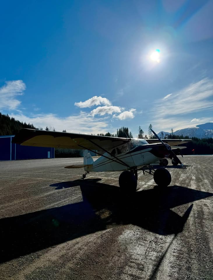 1967 Piper Pacer PA-22/20, photo 6