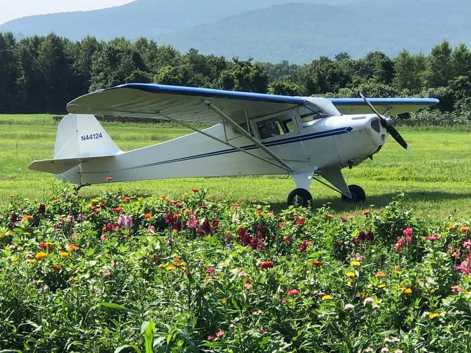 1946 Taylorcraft BC12D, photo 2