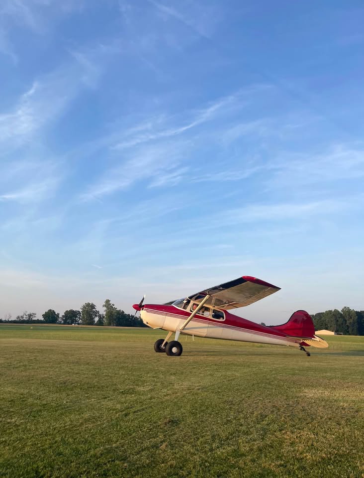 Cessna 170B 1955, photo 3