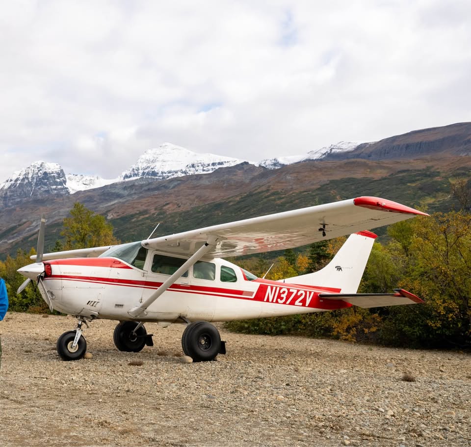 1975 Cessna U206F, photo 3