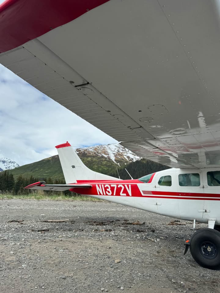 1975 Cessna U206F, photo 2