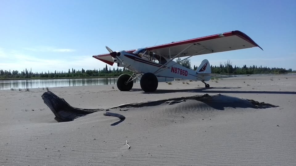 1956 Piper PA-18 Supercub super cub, photo 2