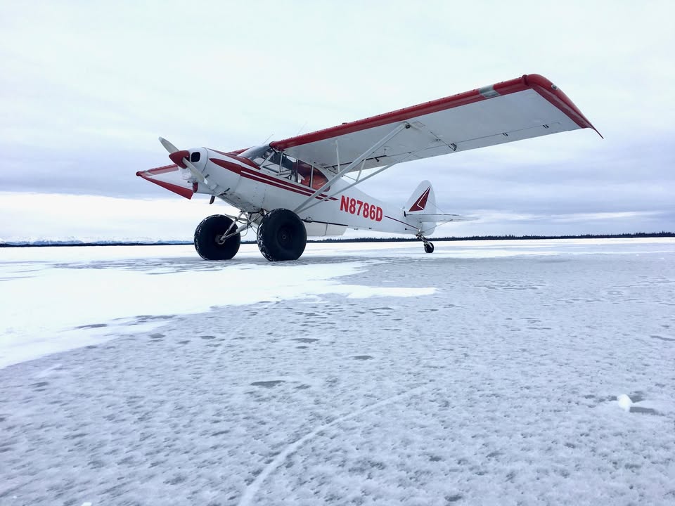 1956 Piper PA-18 Supercub super cub, photo 8