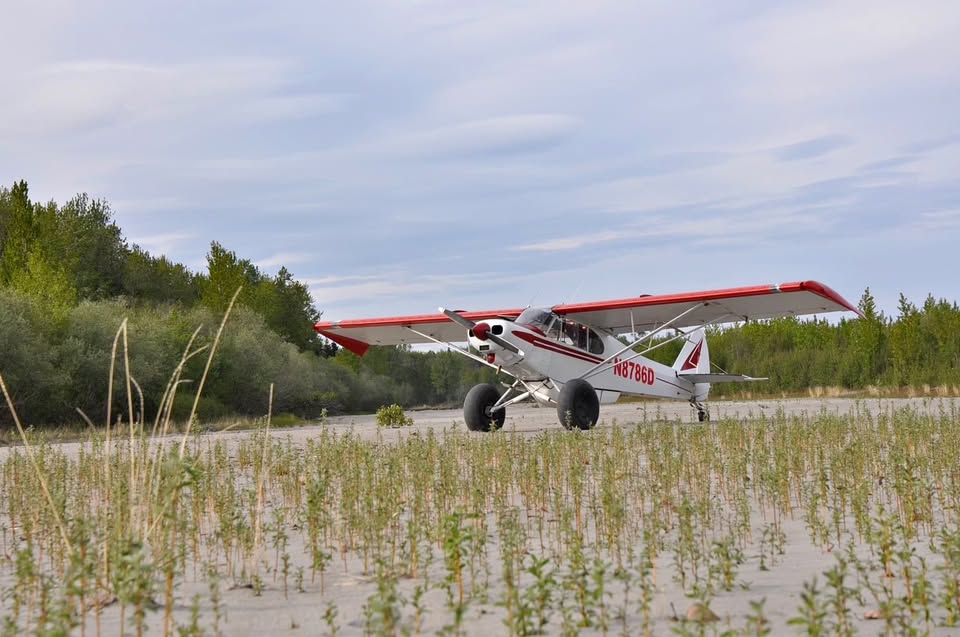 1956 Piper PA-18 Supercub super cub, photo 1