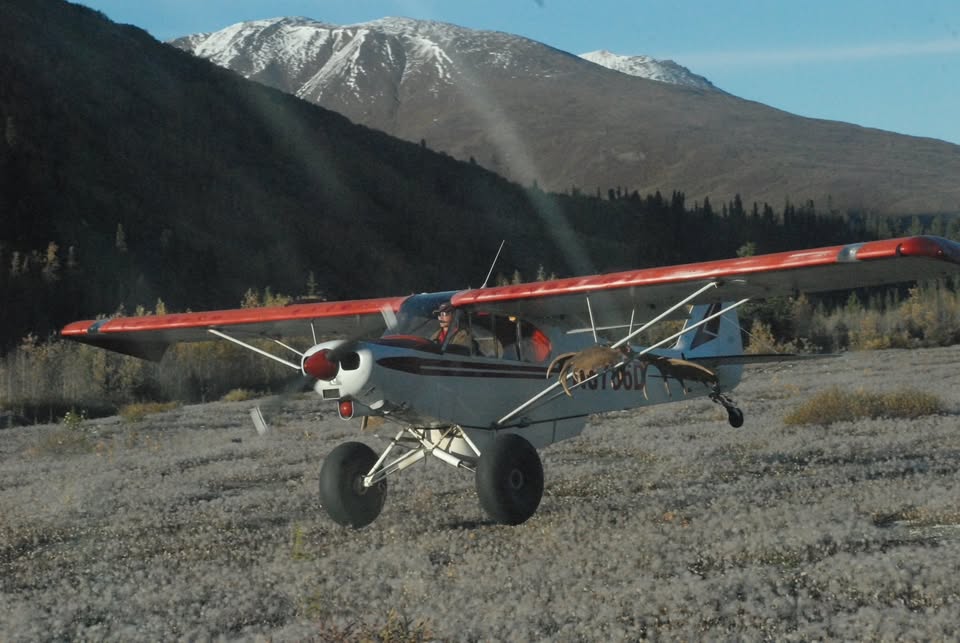 1956 Piper PA-18 Supercub super cub, photo 17